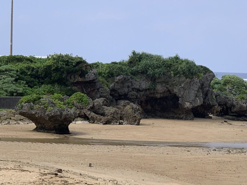 Wide sandy beach at low tide with mushroom-shaped limestone rocks topped with green vegetation
