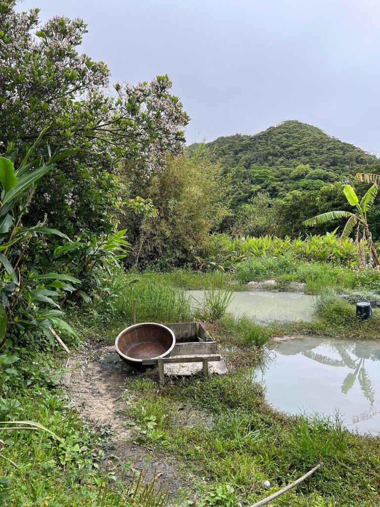 A small pool of muddy water among grass and trees, with a round wooden tub and a wooden frame beside it and green hills behind