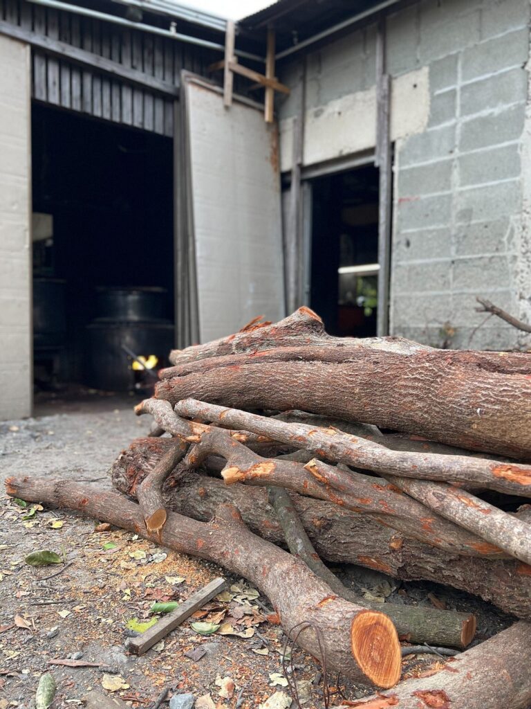 A pile of cut tree trunks and logs with reddish ends stacked outside a workshop shed